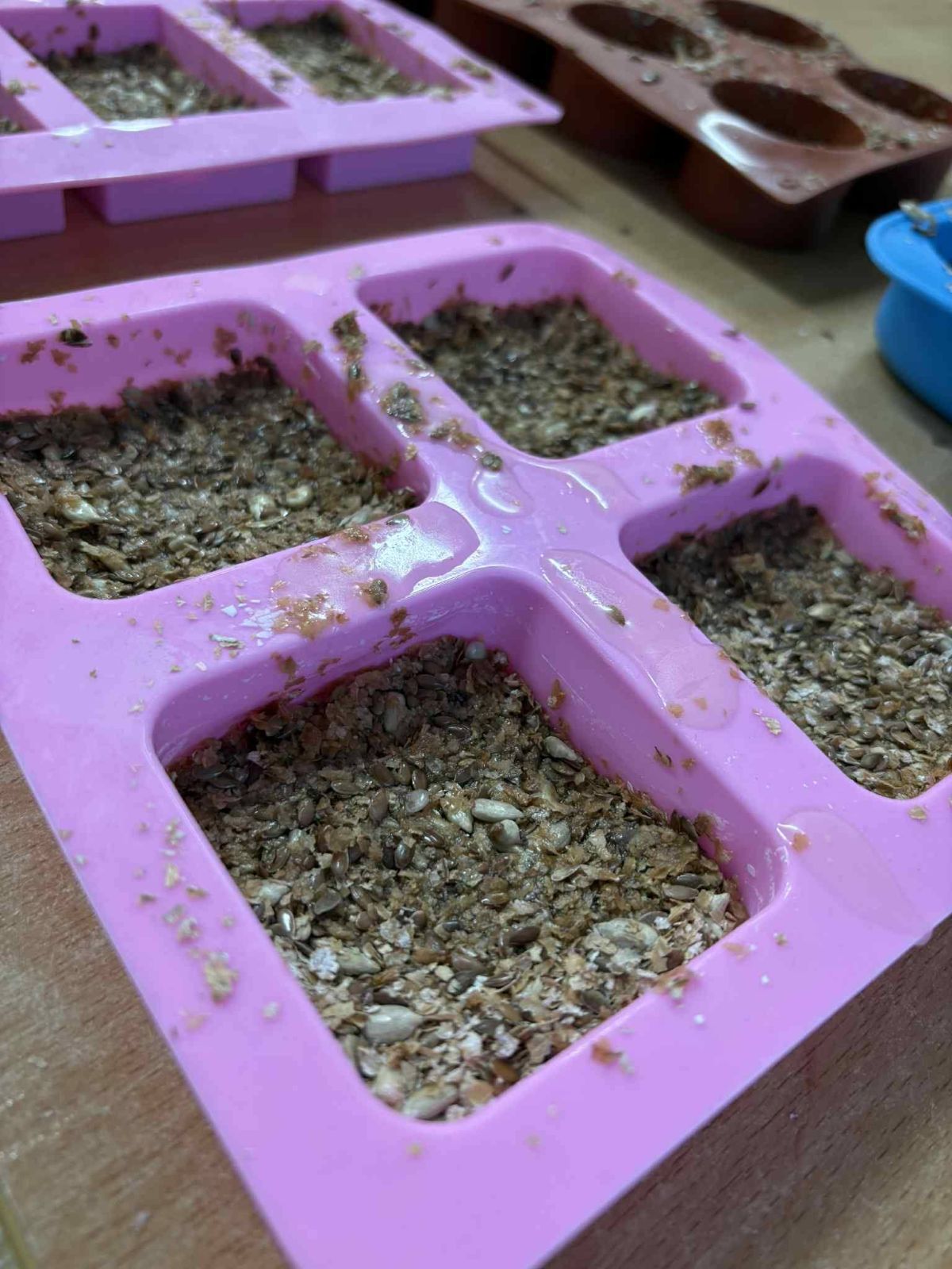 Galeria zdjęć: Pomagamy ptakom przetrwać zimę